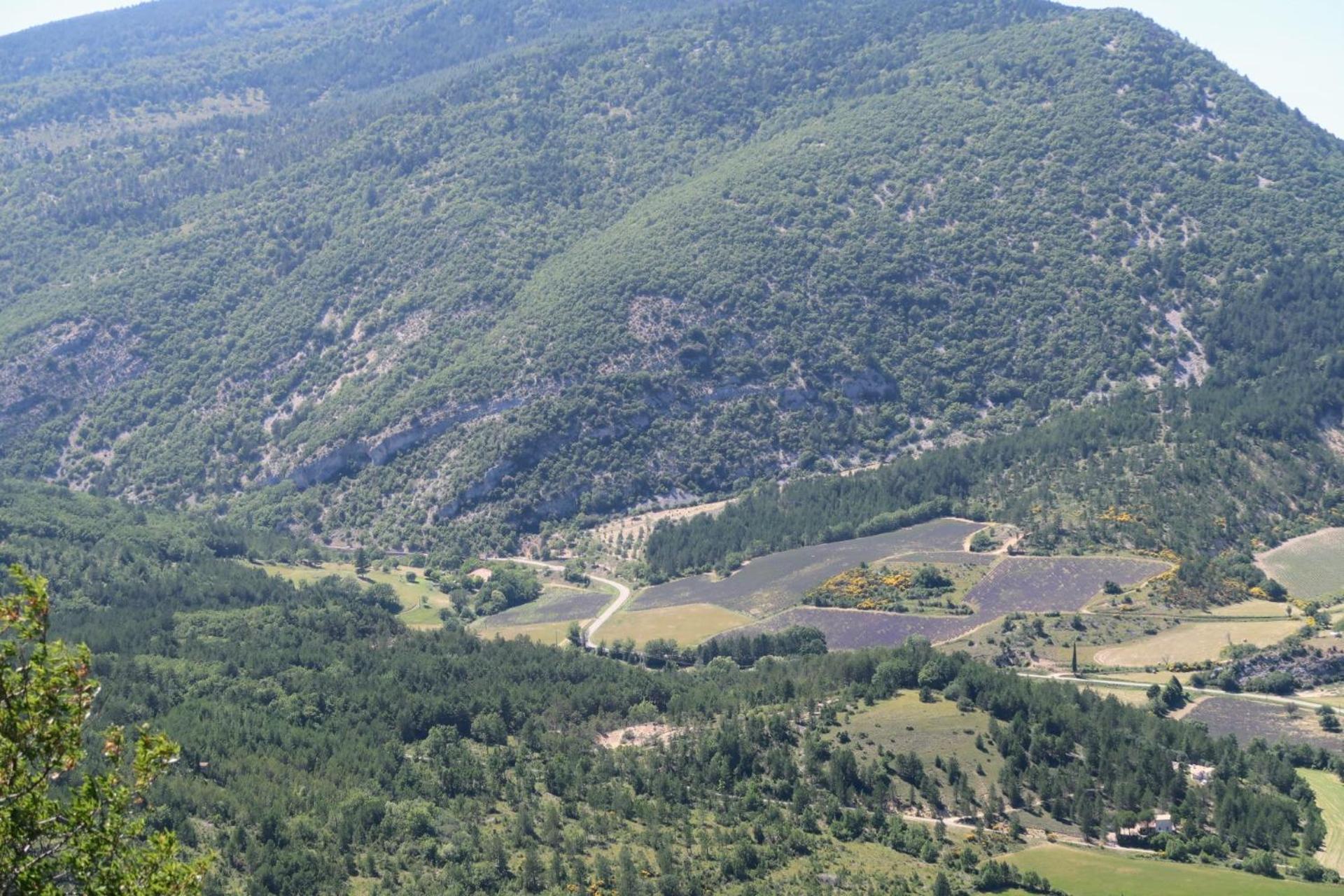 La Terrasse D'olea, Au Coeur Du Village Casa de Férias Buis-les-Baronnies