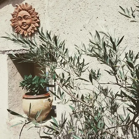 La Terrasse D'Olea, Au Coeur Du Village Buis-les-Baronnies Exterior foto