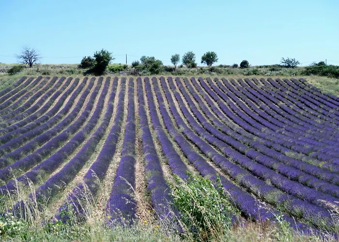 La Terrasse D\'Olea, Au Coeur Du Village