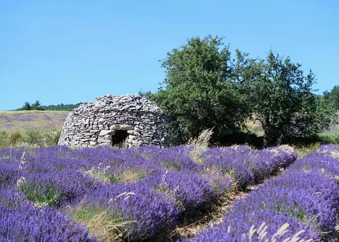 La Terrasse D\'Olea, Au Coeur Du Village