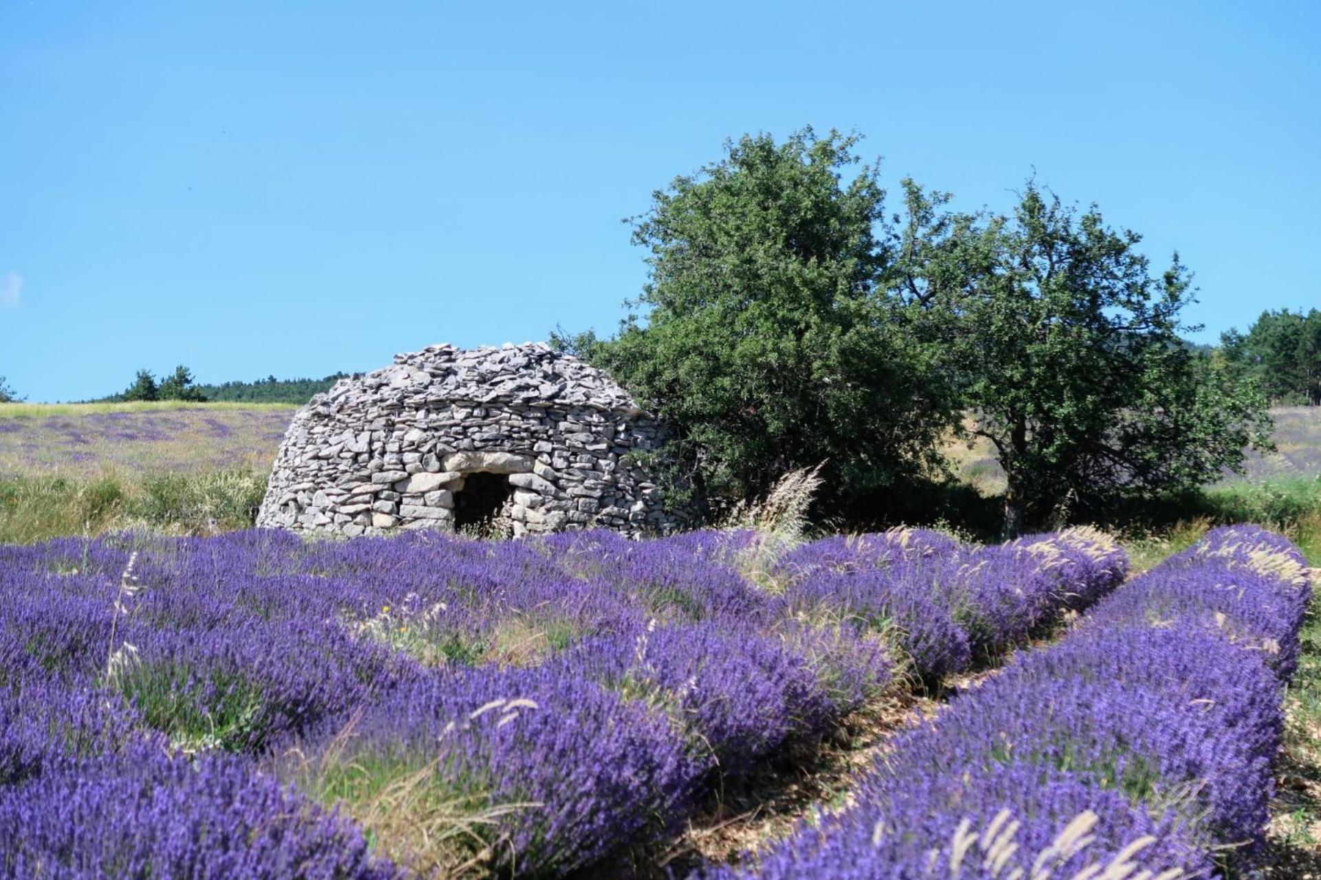 La Terrasse D'olea, Au Coeur Du Village *